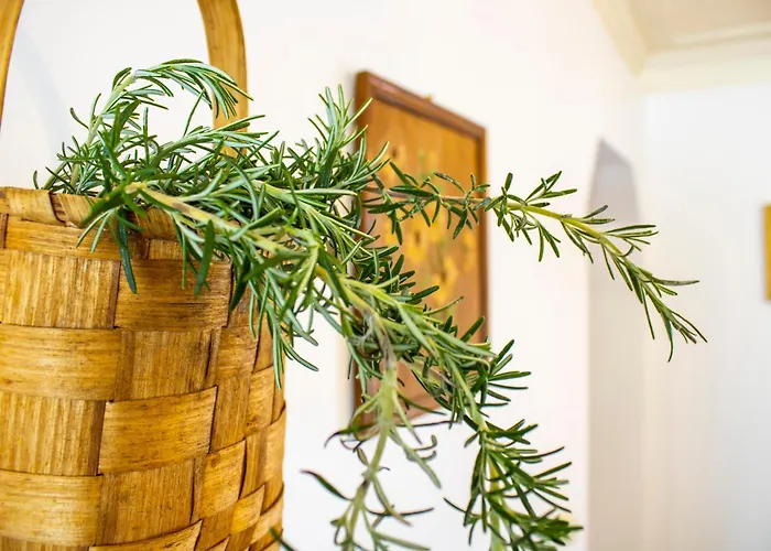 Casa Da Luz - With Terrace Dom wakacyjny *